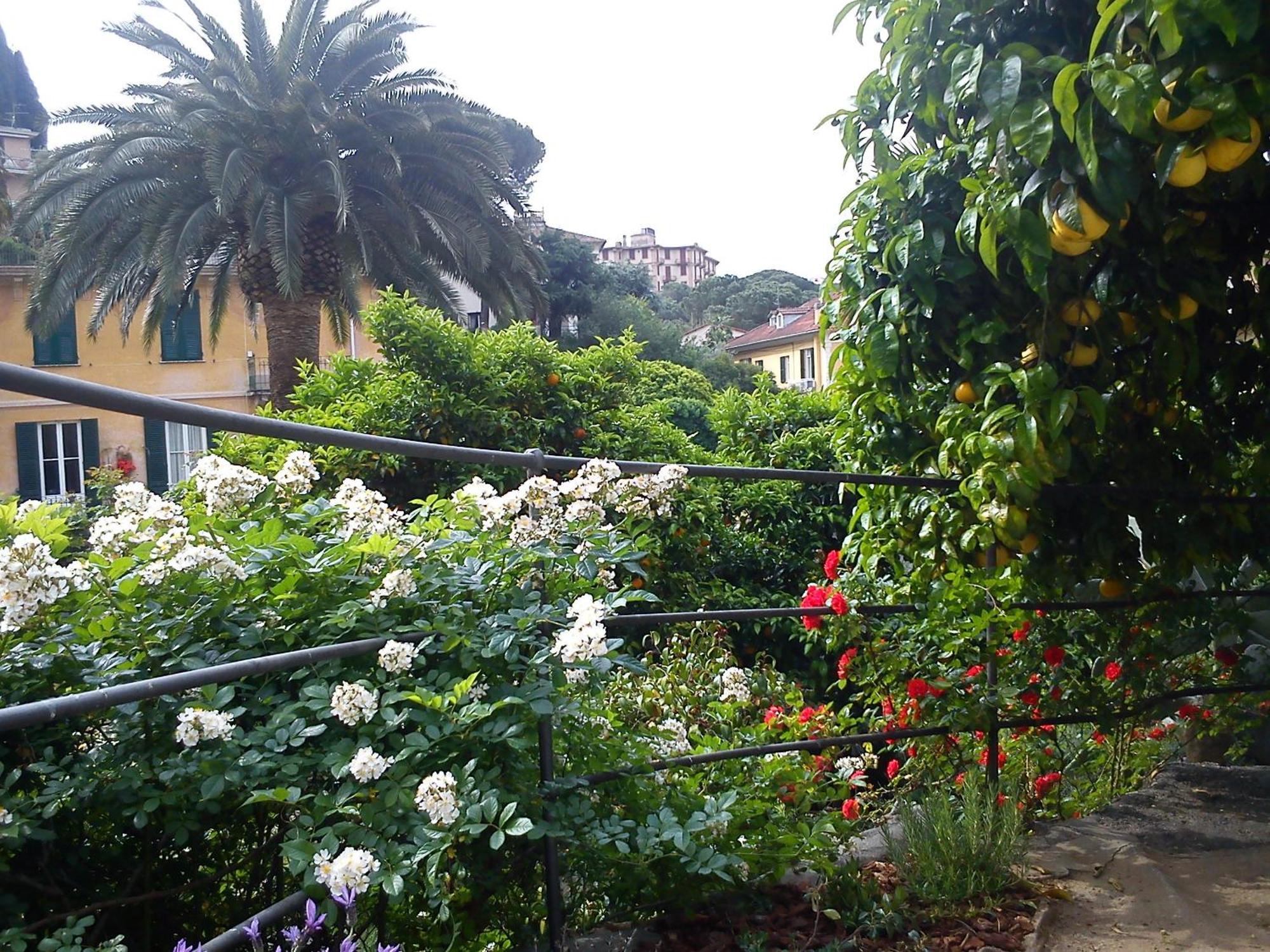 Hotel Canali, Portofino Coast Рапало Екстериор снимка